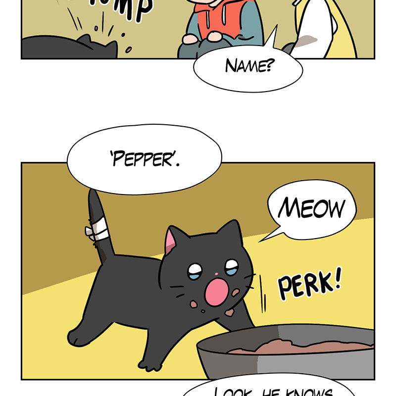 Meow Man Chapter 80 page 54 - 