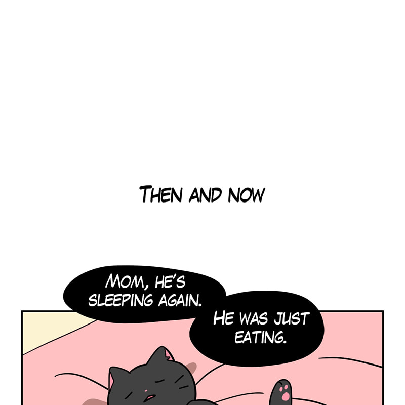 Meow Man Chapter 84 page 24 - 