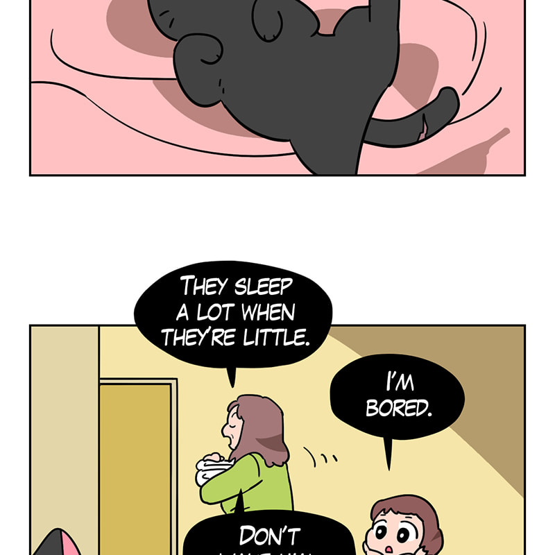 Meow Man Chapter 84 page 25 - 