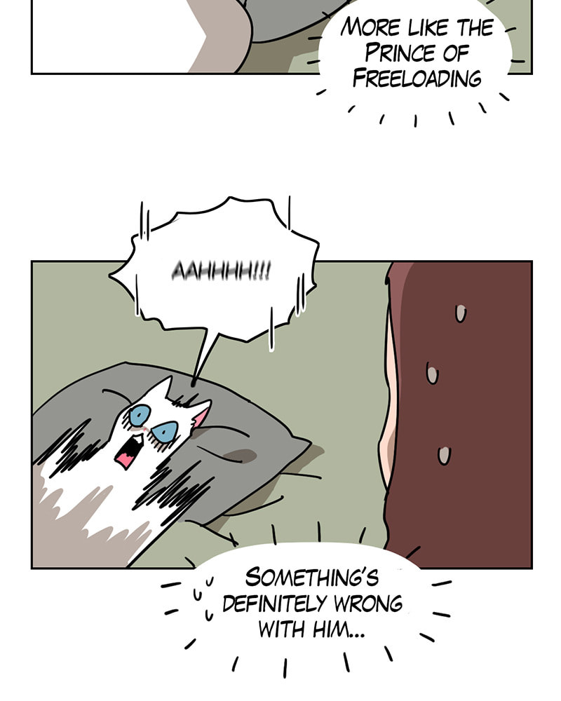 Meow Man Chapter 9 page 12 - 