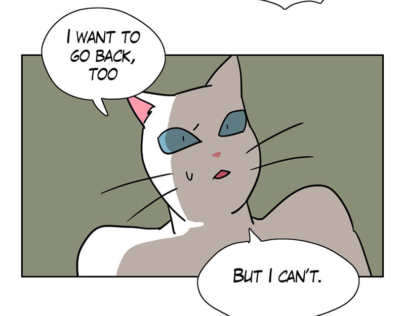 Meow Man Chapter 9 page 39 - 
