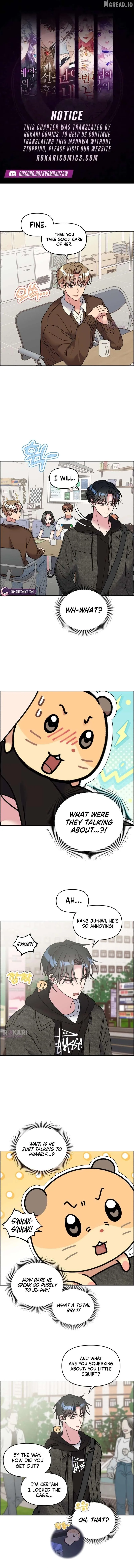 Meow Meow Squeak Squeak! Chapter 43 page 1 - 