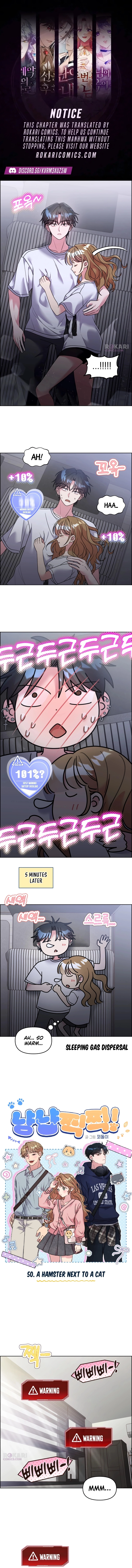 Meow Meow Squeak Squeak! Chapter 50 page 1 - 