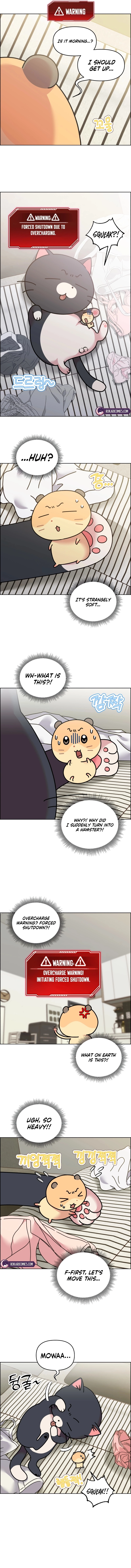 Meow Meow Squeak Squeak! Chapter 50 page 2 - 
