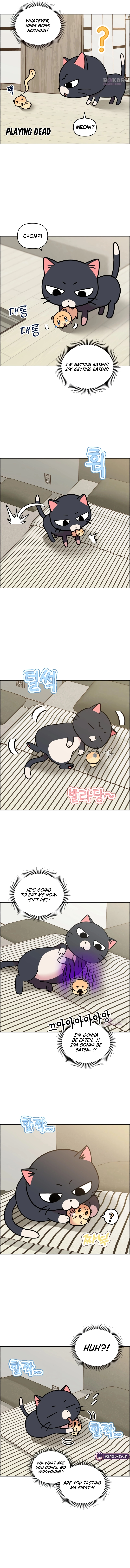 Meow Meow Squeak Squeak! Chapter 50 page 5 - 
