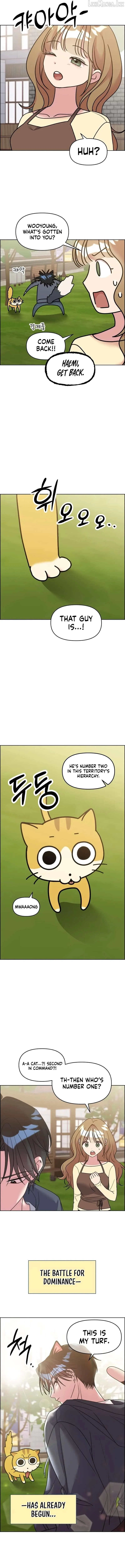 Meow Meow Squeak Squeak! Chapter 52 page 6 - 