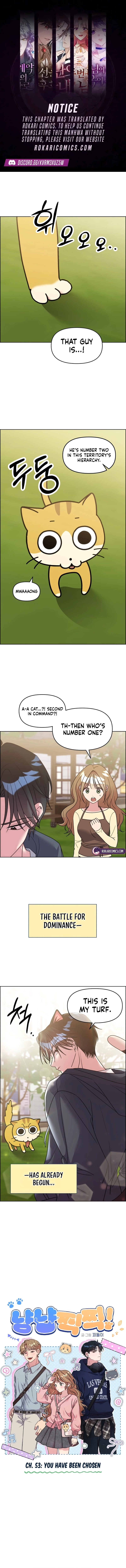 Meow Meow Squeak Squeak! Chapter 53 page 1 - 