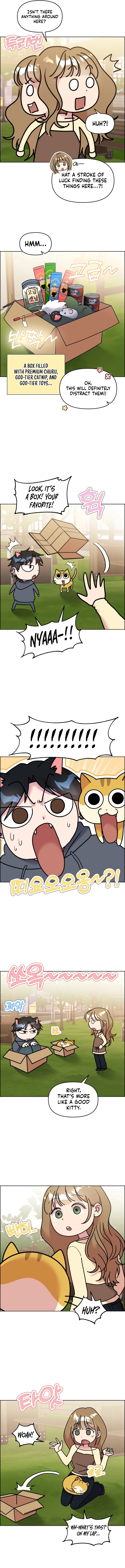 Meow Meow Squeak Squeak! Chapter 53 page 3 - 