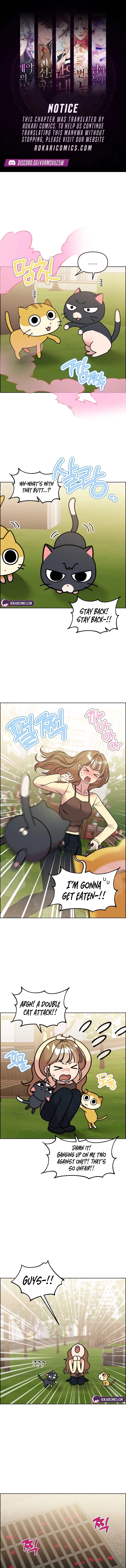 Meow Meow Squeak Squeak! Chapter 54 page 1 - 