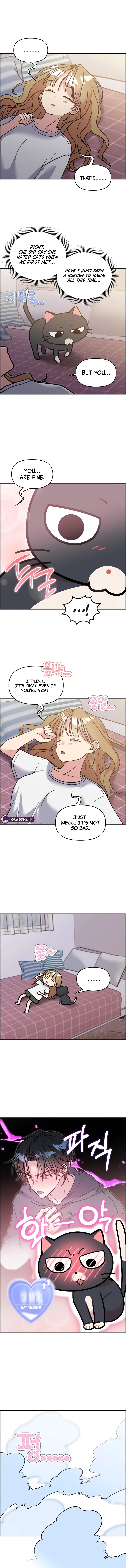 Meow Meow Squeak Squeak! Chapter 54 page 5 - 