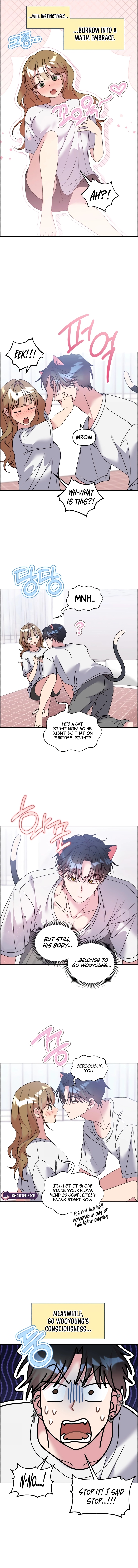 Meow Meow Squeak Squeak! Chapter 55 page 5 - 