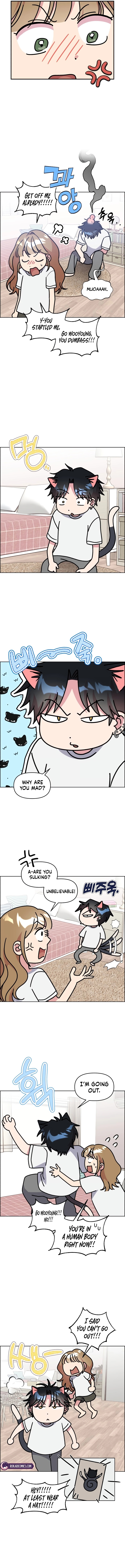 Meow Meow Squeak Squeak! Chapter 56 page 2 - 