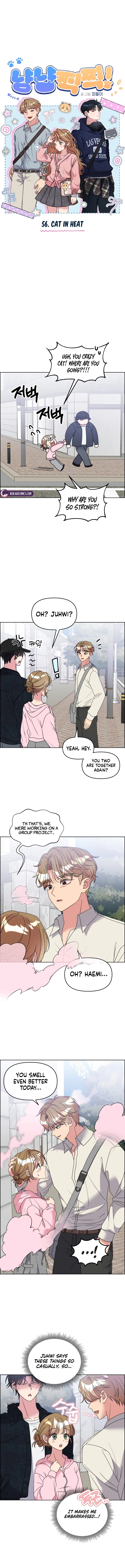 Meow Meow Squeak Squeak! Chapter 56 page 3 - 