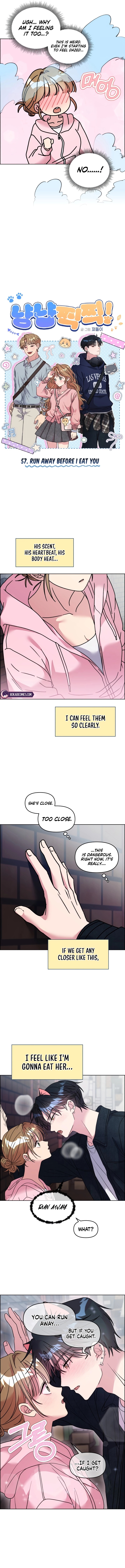 Meow Meow Squeak Squeak! Chapter 57 page 3 - 