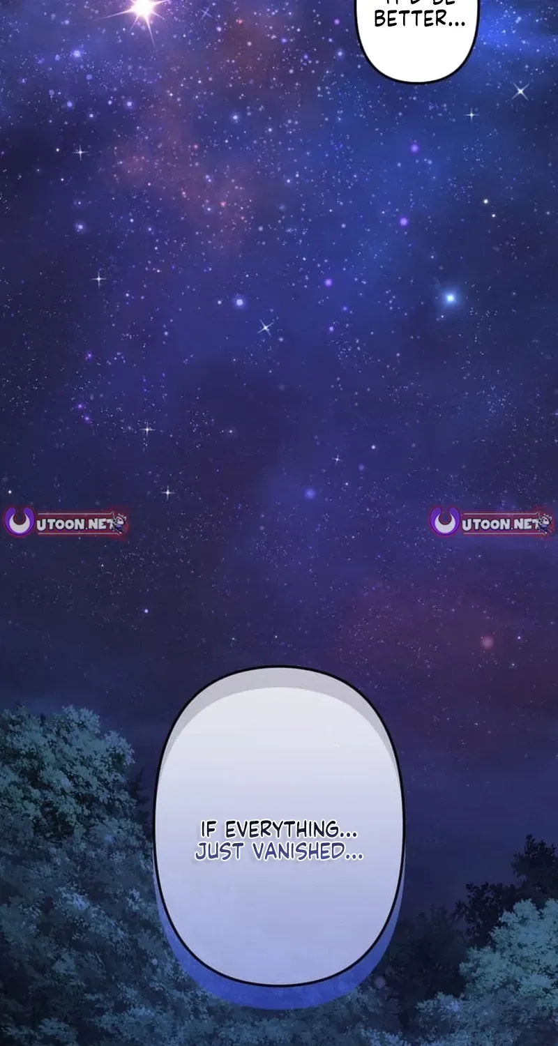 Meteor Maiden: I Was Chosen by the Galaxy