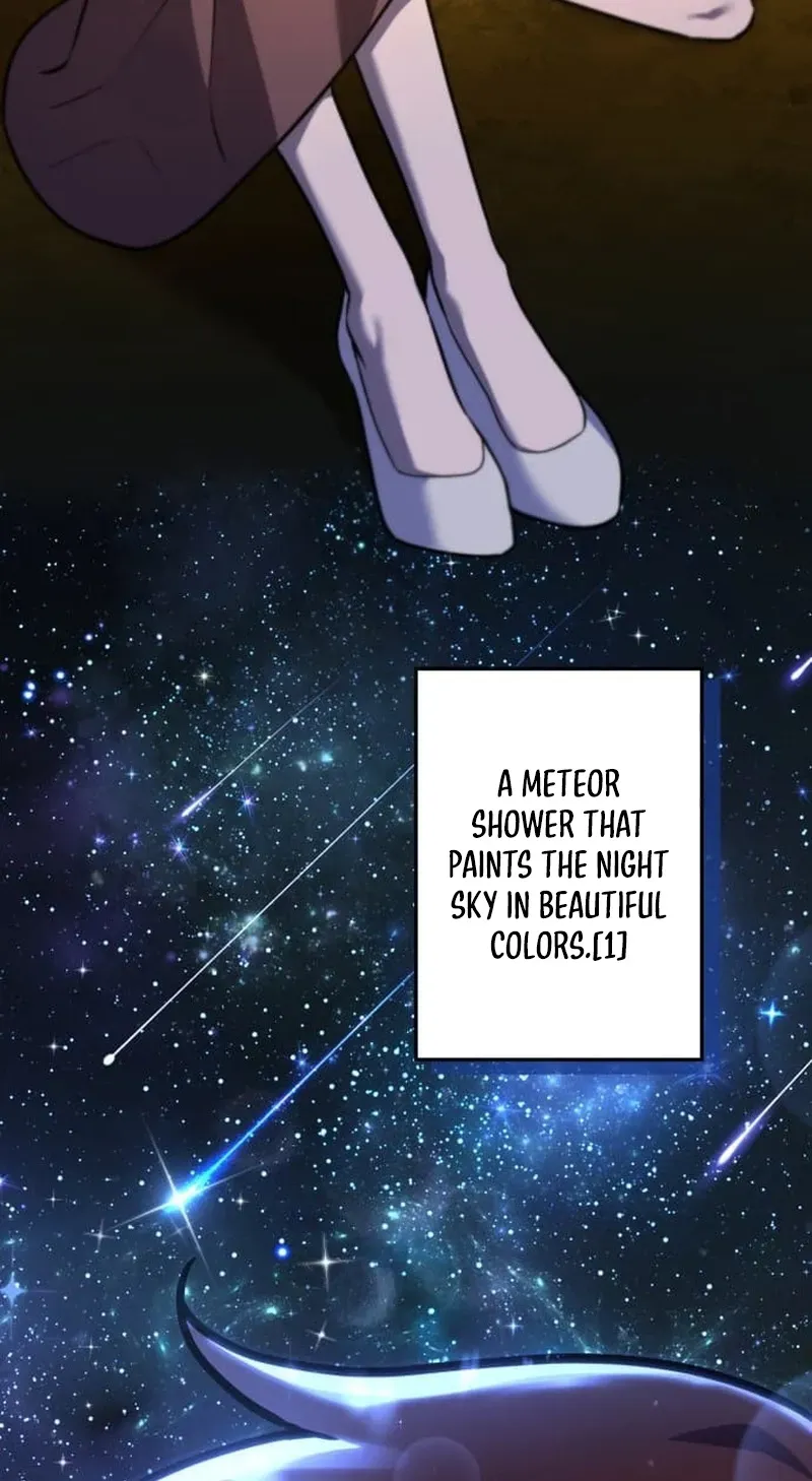Meteor Maiden: I Was Chosen by the Galaxy
