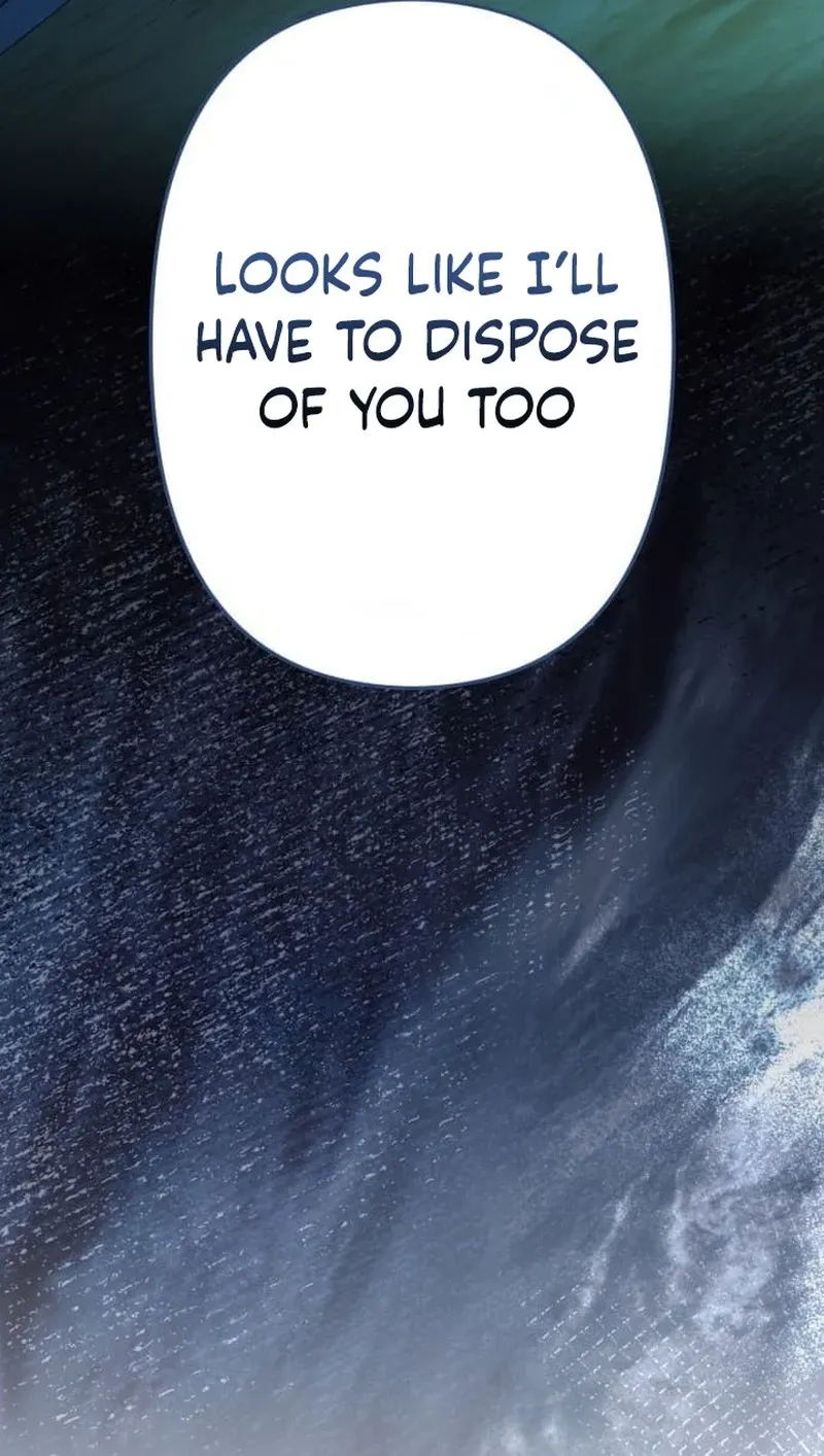 Meteor Maiden: I Was Chosen by the Galaxy