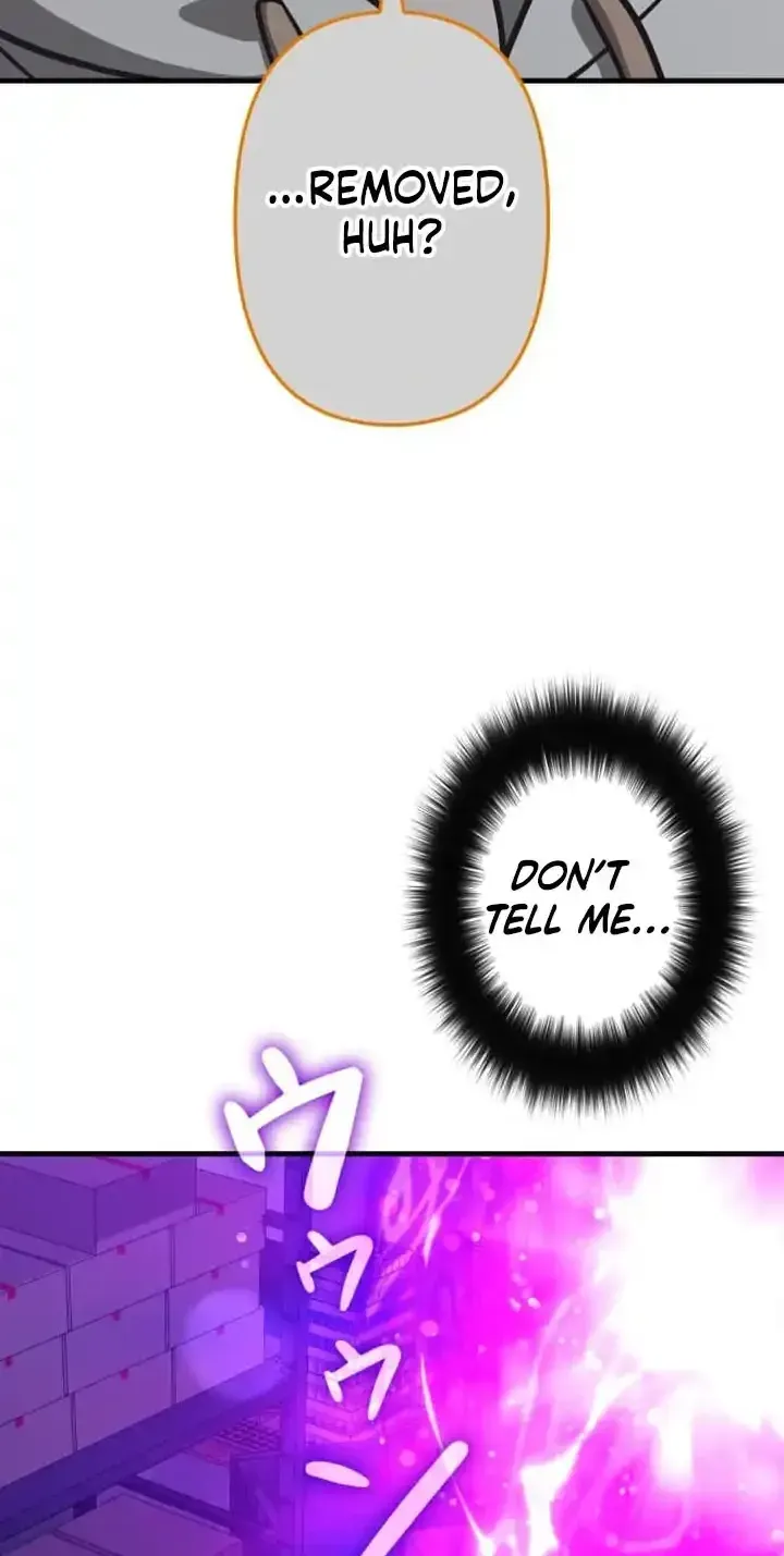 Meteor Maiden: I Was Chosen by the Galaxy