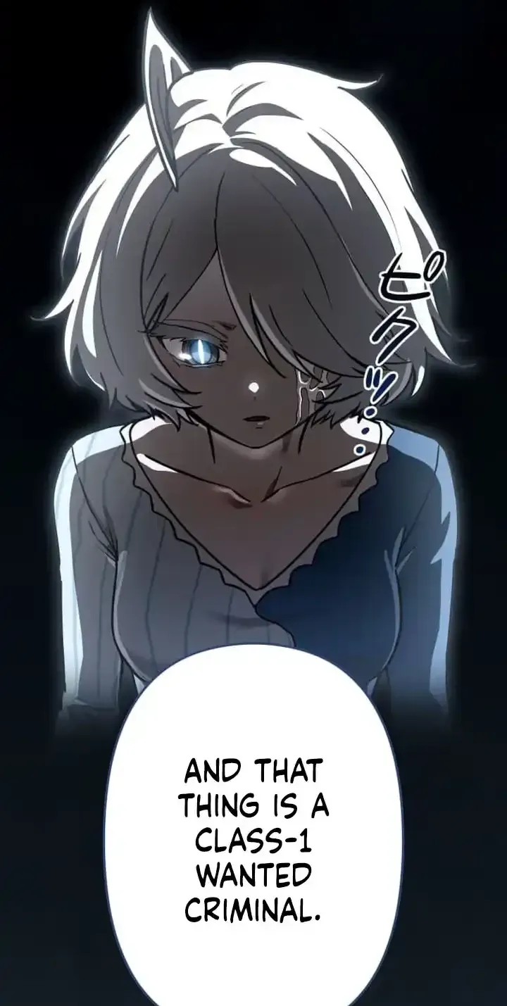 Meteor Maiden: I Was Chosen by the Galaxy