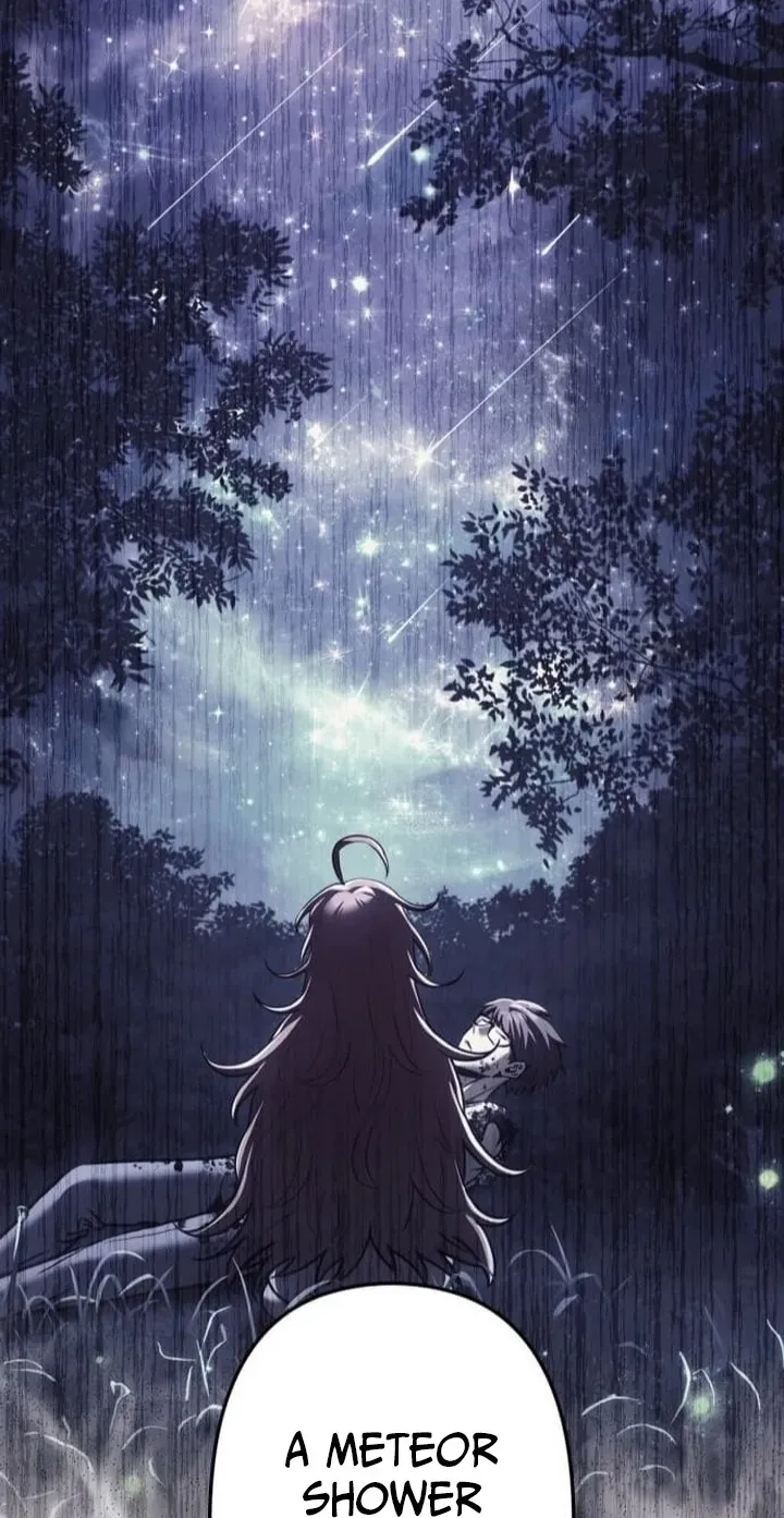 Meteor Maiden: I Was Chosen by the Galaxy