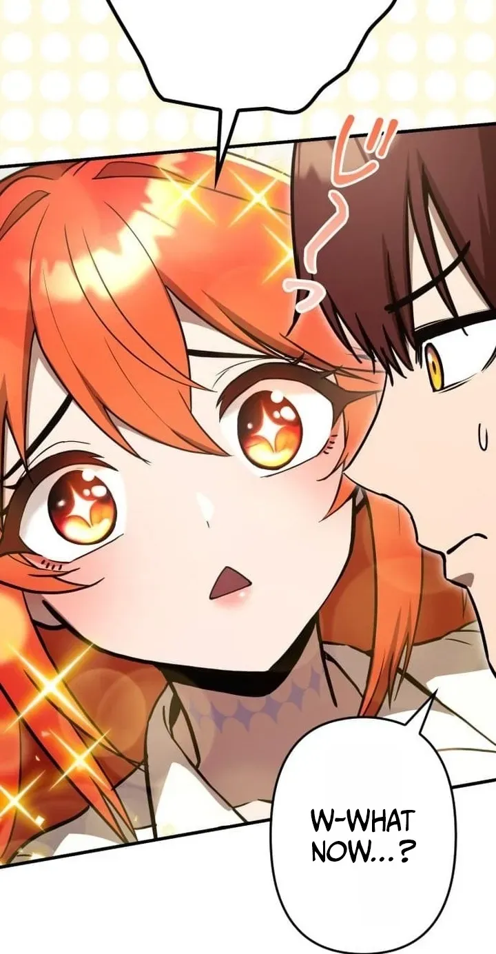 Meteor Maiden: I Was Chosen by the Galaxy