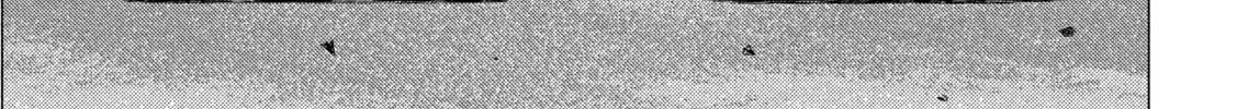 MF Ghost Chapter 248 page 22 - 