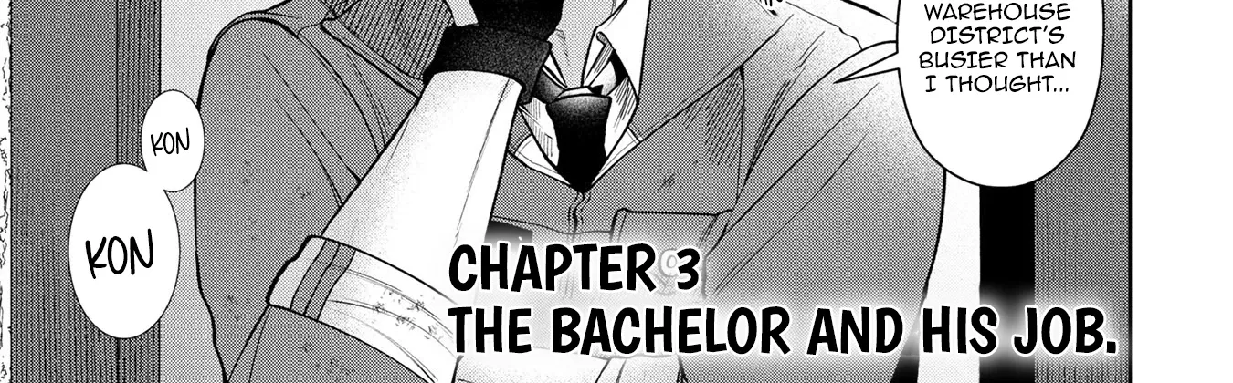 Middle-Aged Bachelor