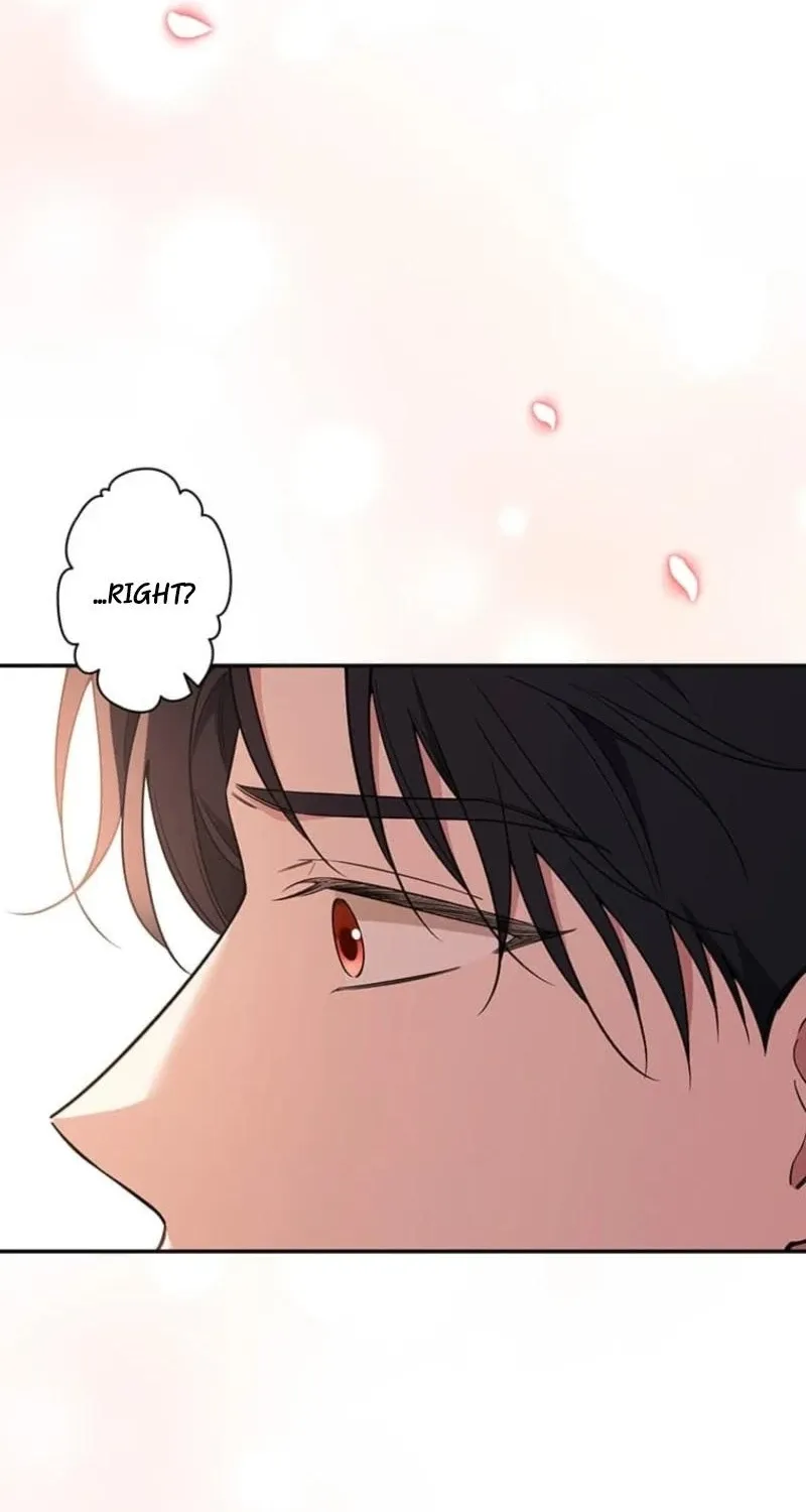 Migawari Hanayome Chapter 12 page 148 - 