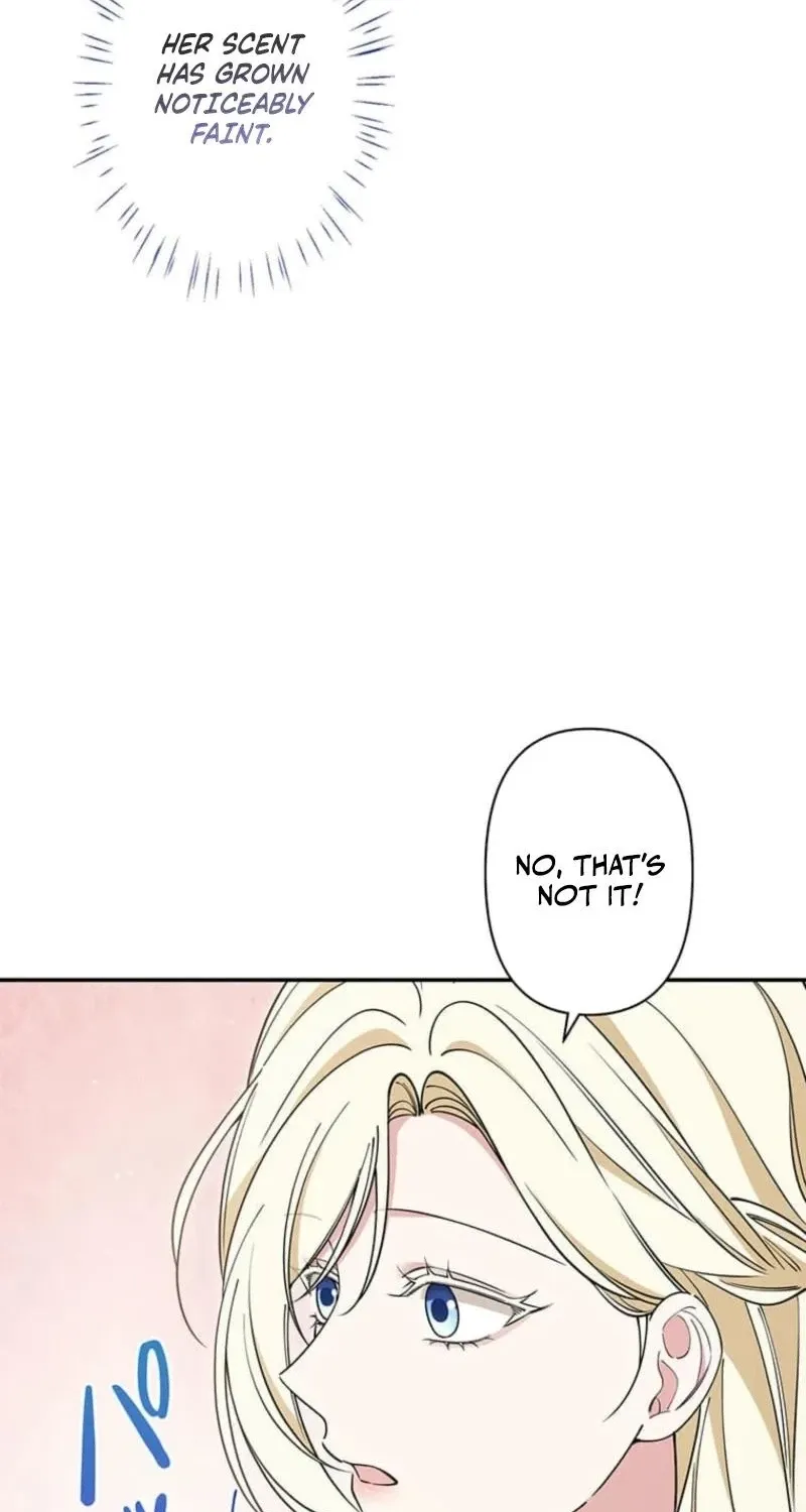 Migawari Hanayome Chapter 18 page 104 - 
