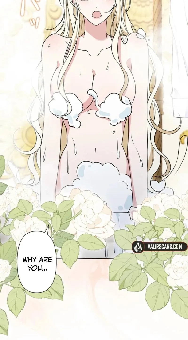 Migawari Hanayome Chapter 22 page 97 - 