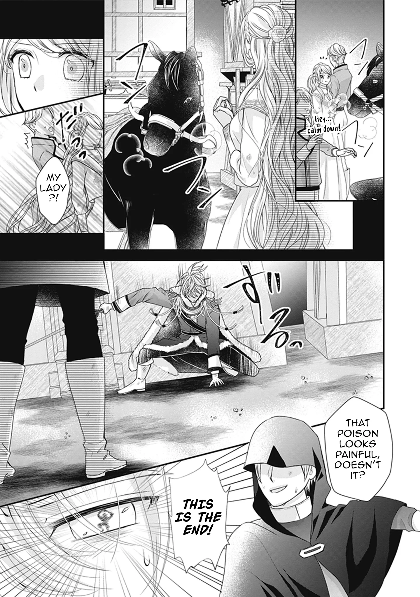 Migawari Konyaku Shananoni, Gin Ookami Heika ga Doushitemo Hanashite Kuremasen! Chapter 10 page 27 - 