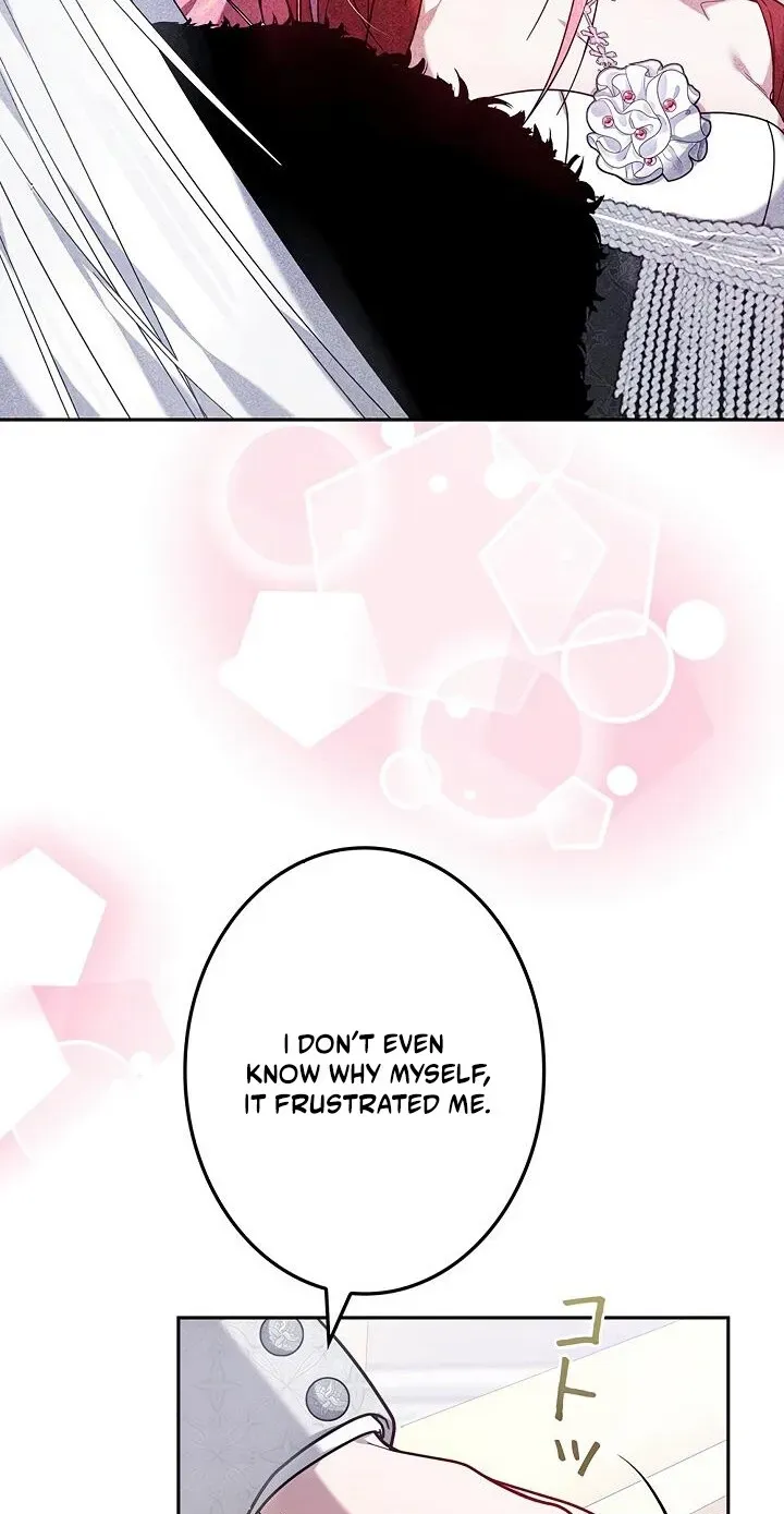Mighty Macaron Wants To Be Meek Chapter 6 page 48 - 