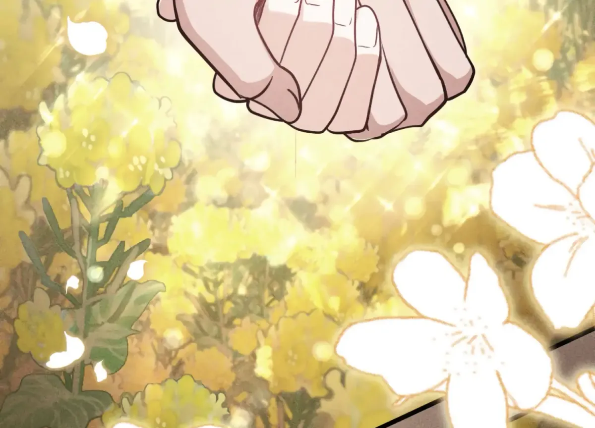 Miji