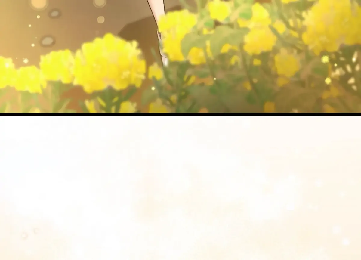 Miji