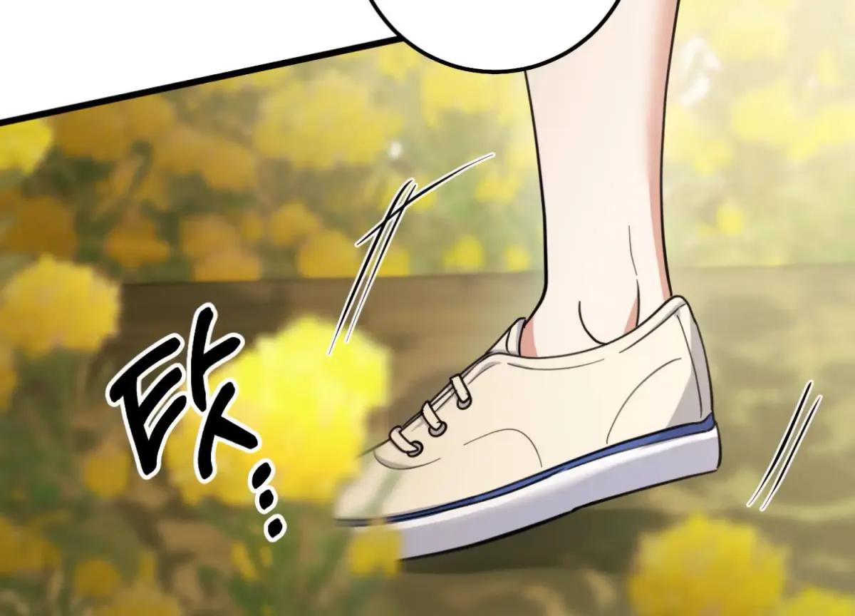 Miji