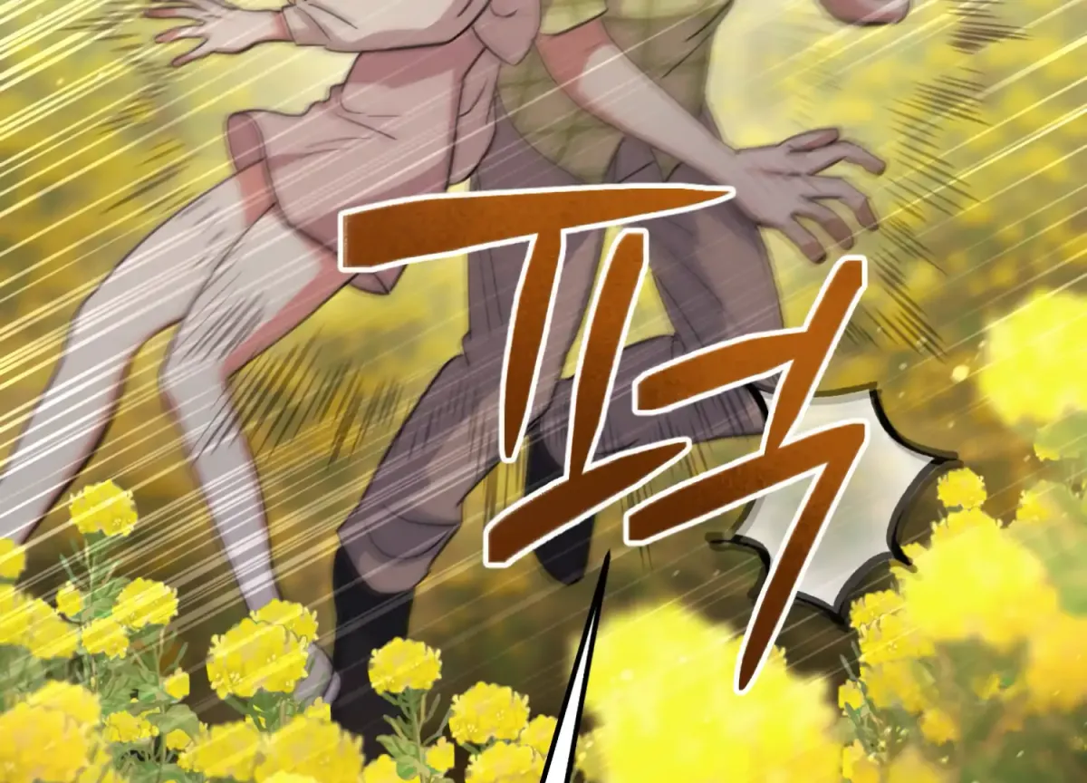 Miji