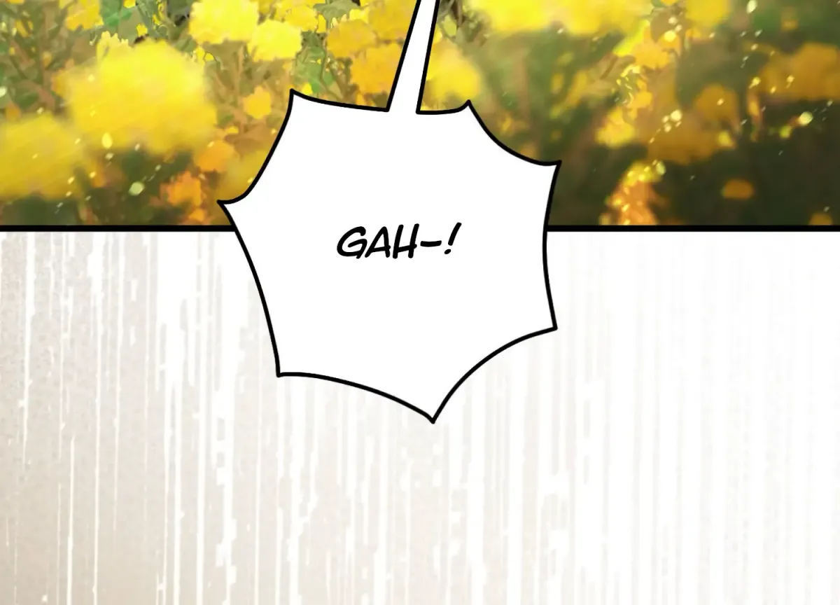 Miji