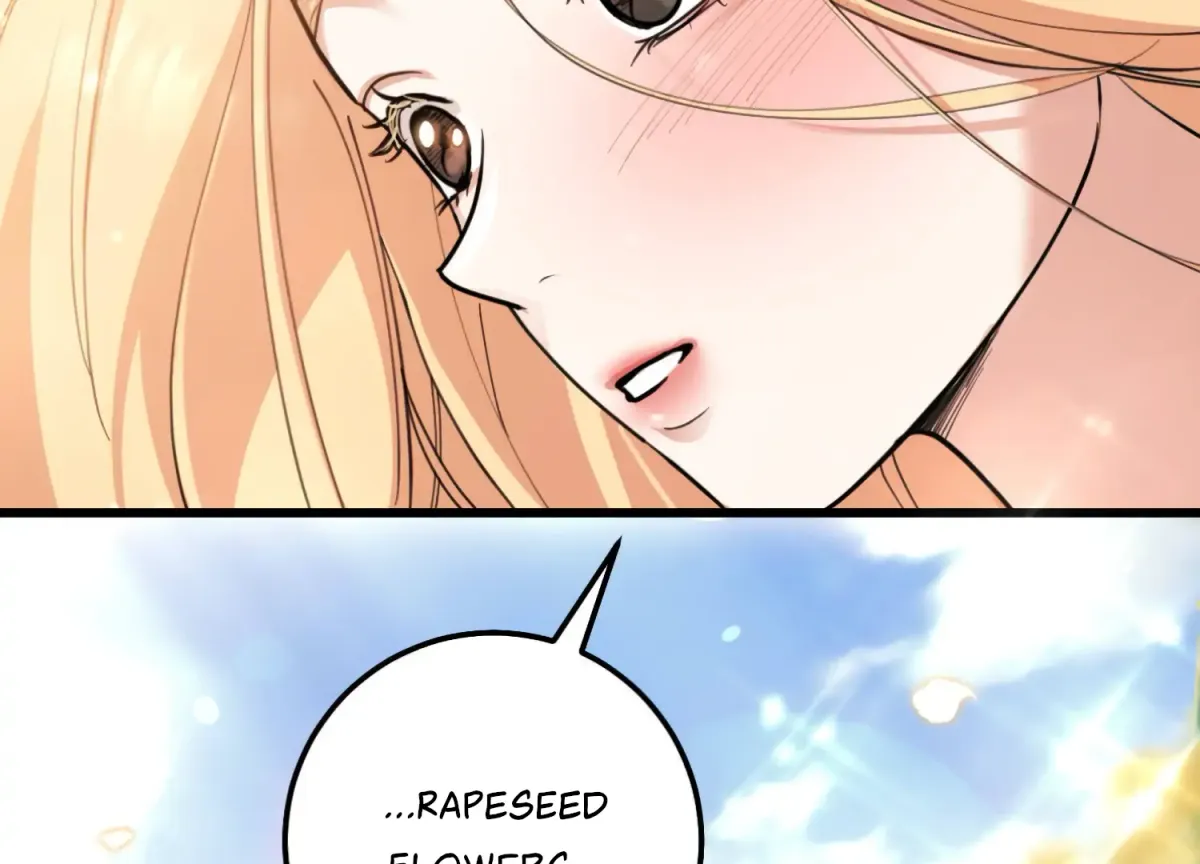 Miji