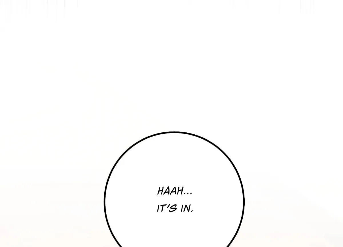 Miji