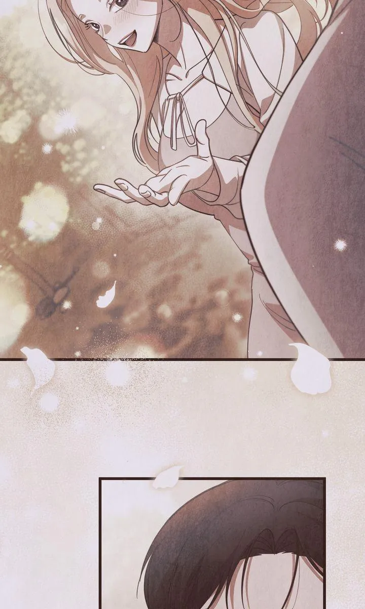 Miji