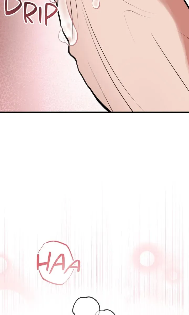 Miji