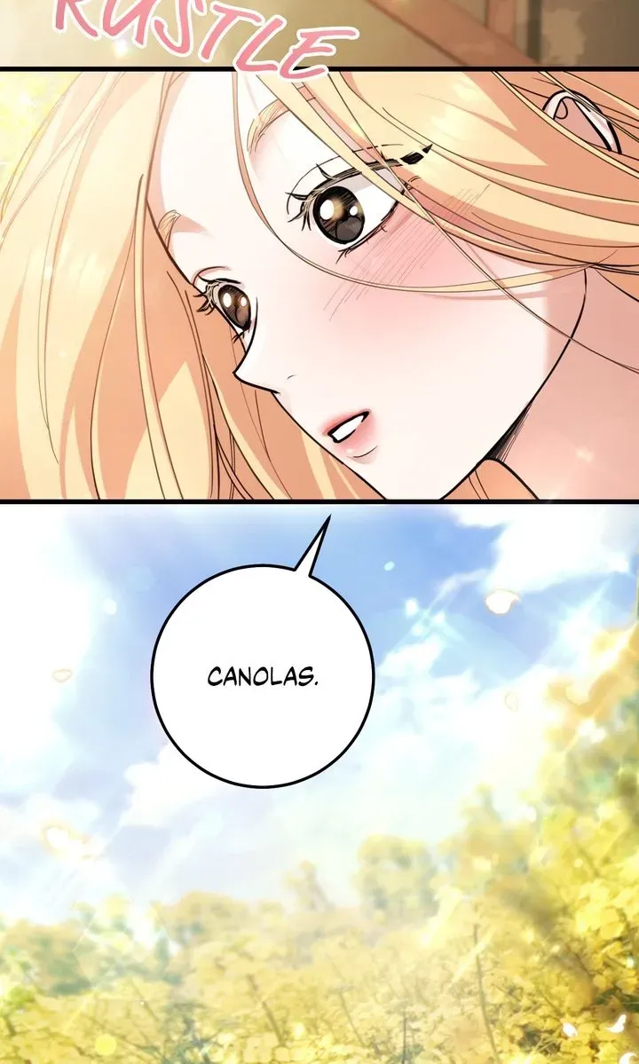 Miji