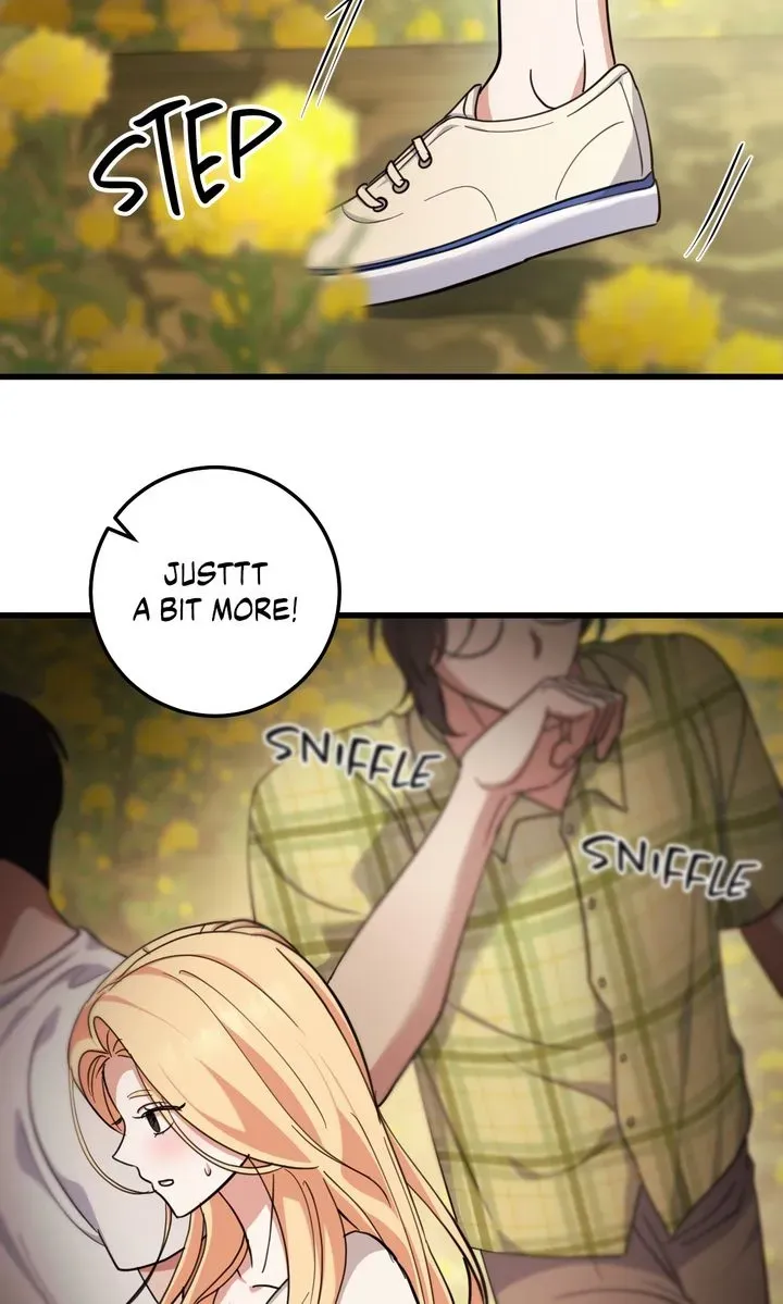 Miji