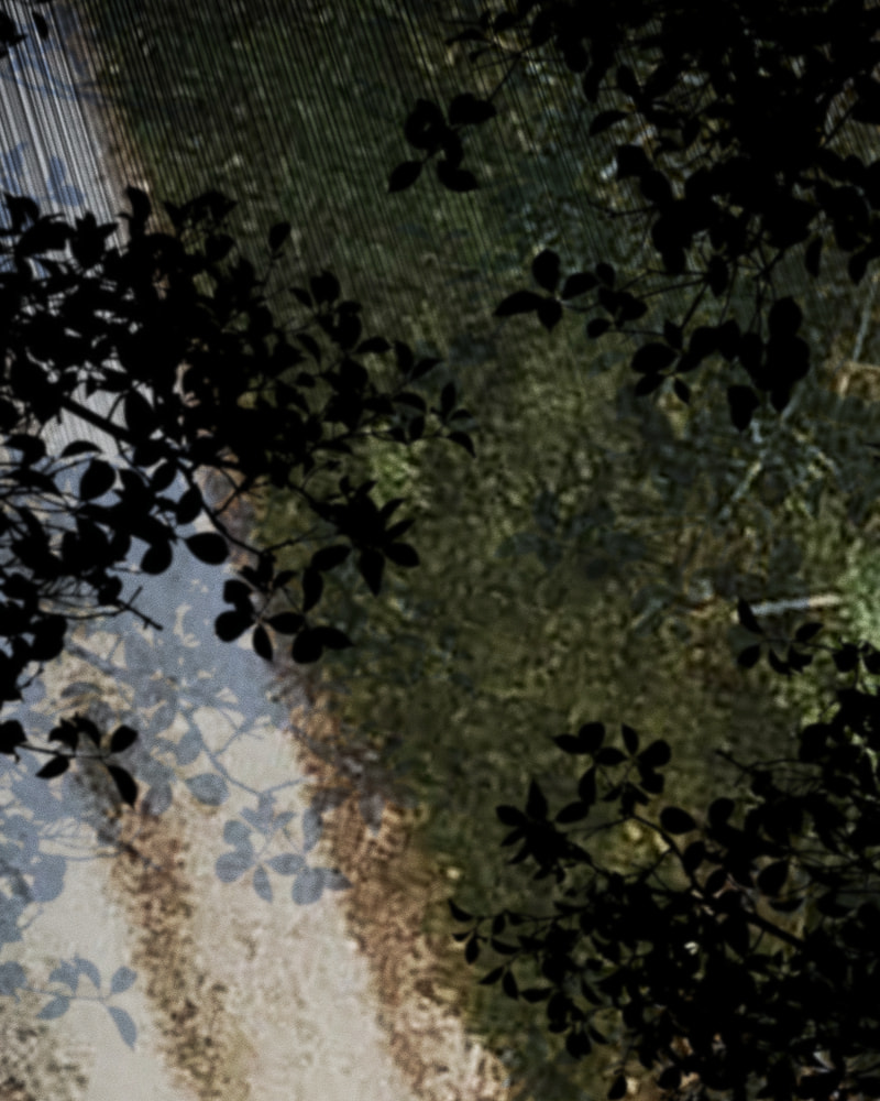 Milk Crown Chapter 35 page 156 - 
