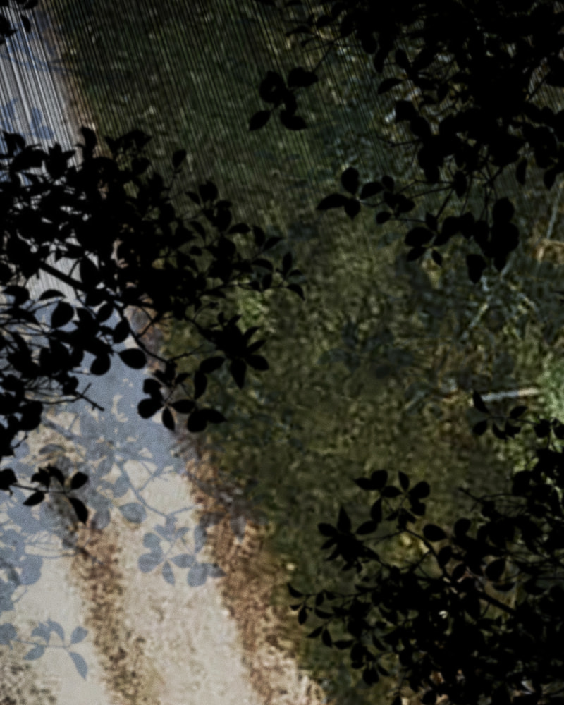 Milk Crown Chapter 36 page 3 - 