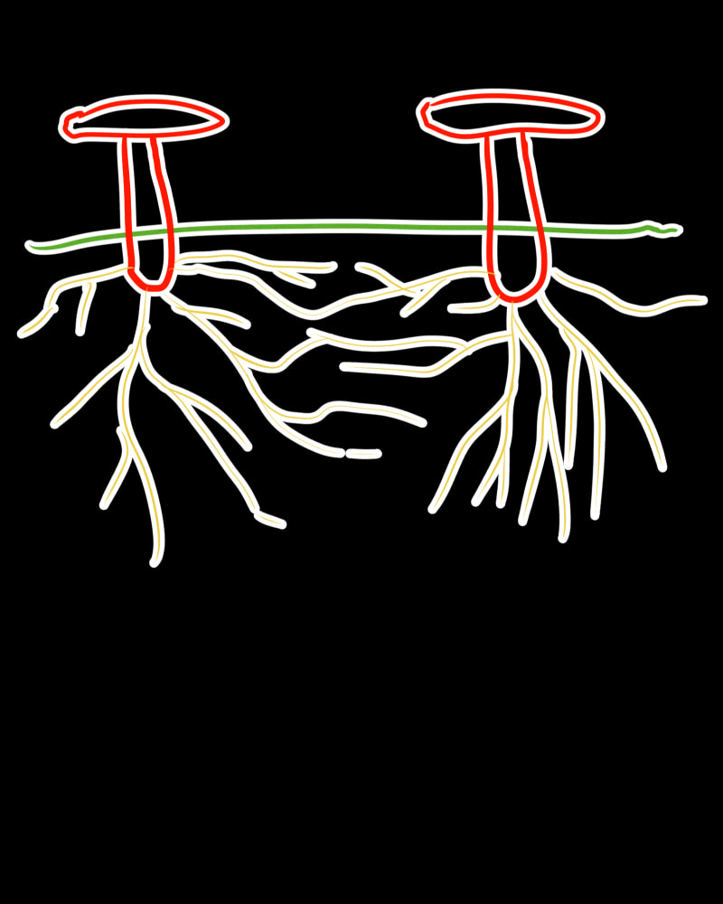 Milk Crown Chapter 67 page 155 - 