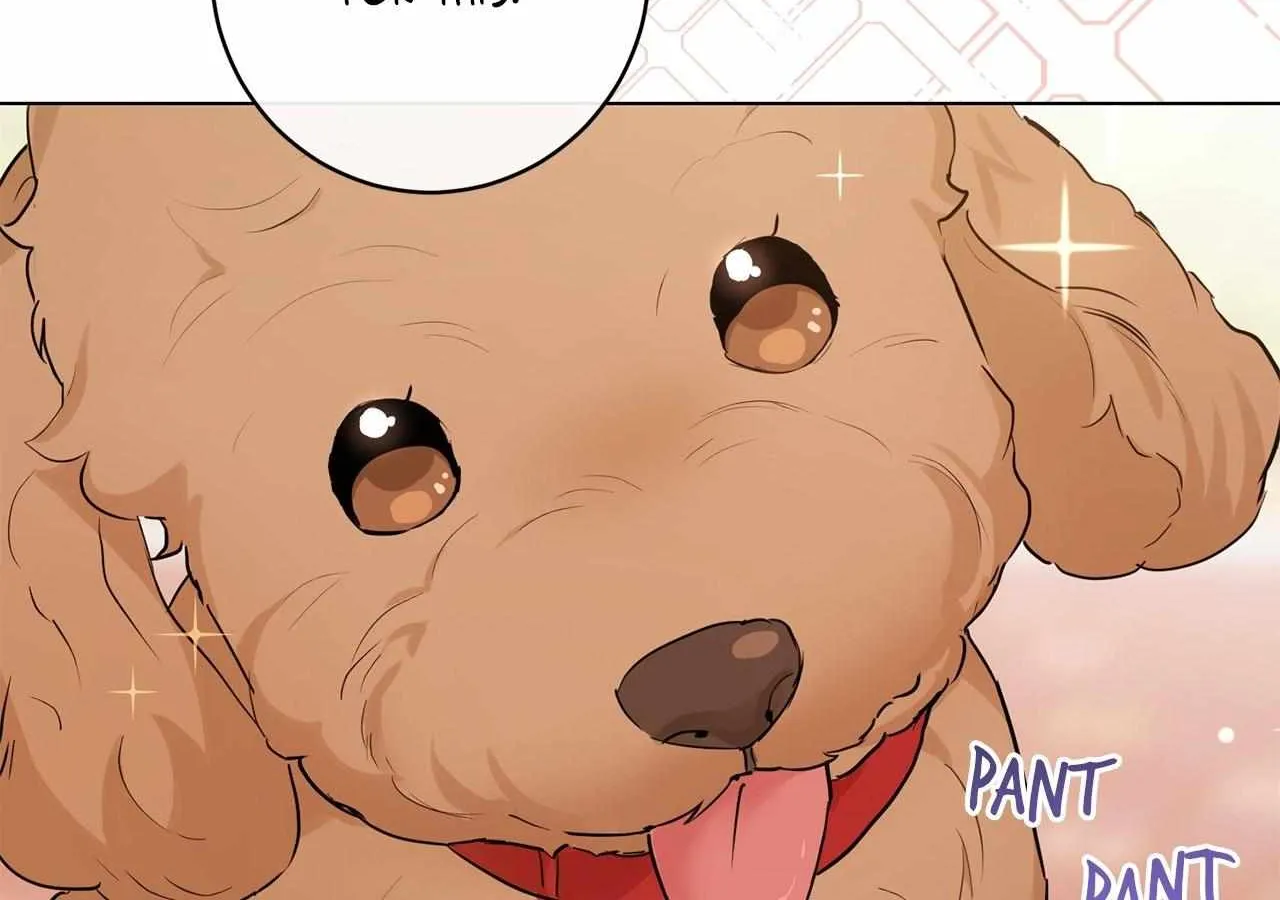 Mint Candy Love Chapter 13 page 83 - 