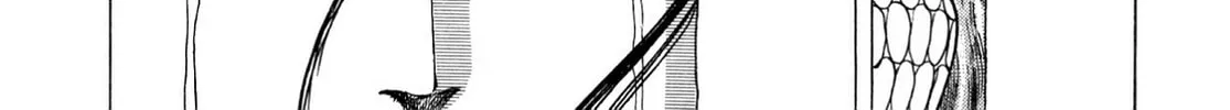 Miquiztli: Reaper of the Sun Chapter 82 page 8 - 