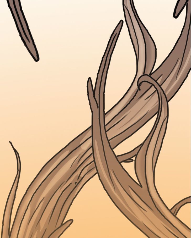 Mirror Chapter 10 page 13 - 
