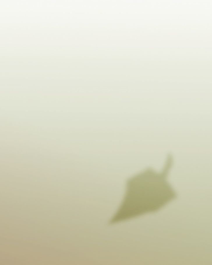 Mirror Chapter 16 page 9 - 